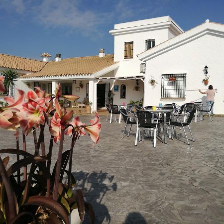 Hotel Casa Fina - Adults Recommended Conil De La Frontera Buitenkant foto